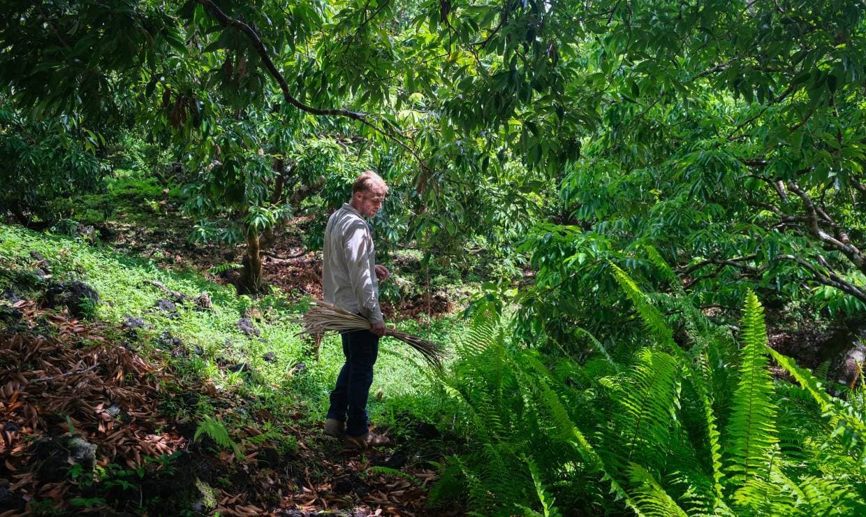 Quentin Donnay marchant dans le sous-bois de sa plantation